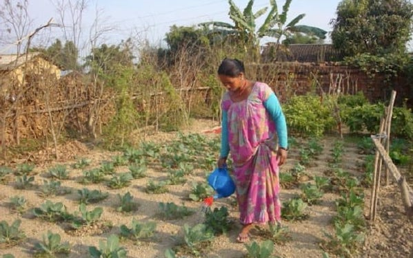 Landwirtschaft_ADRA_Nepal