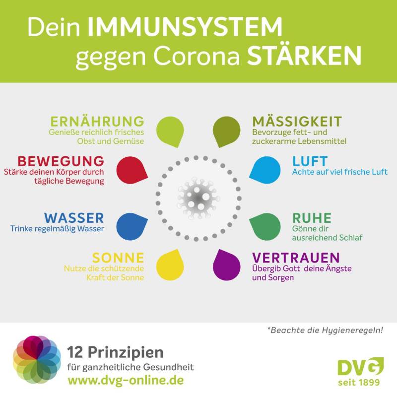 DVG_Immunsystem_staerken