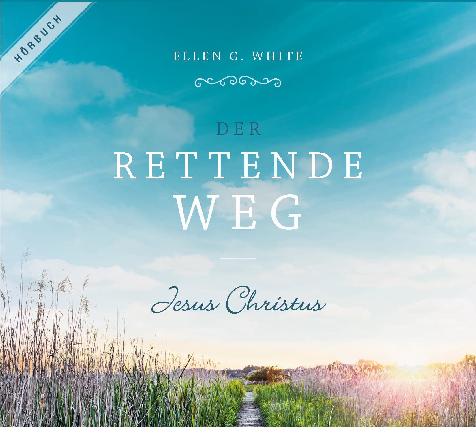 Der rettende Weg (Hörbuch)