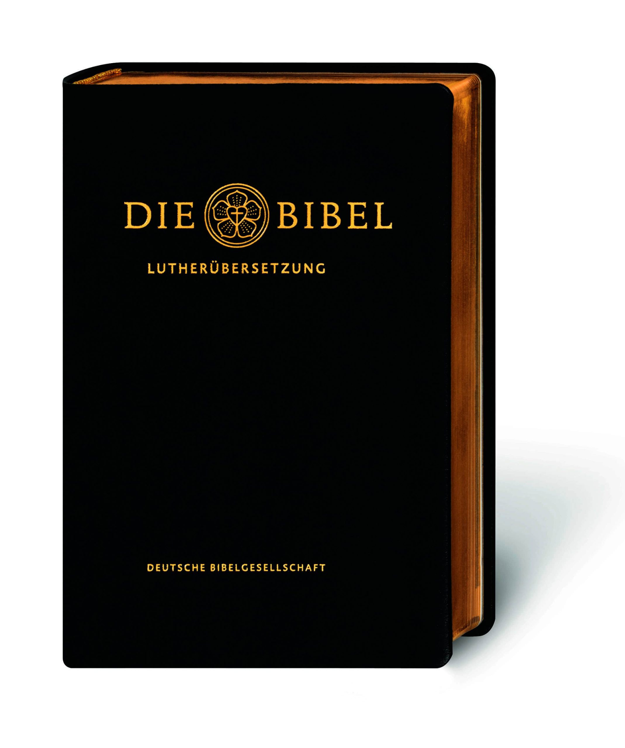 Lutherbibel mit Apokryphen – Leder, schwarz