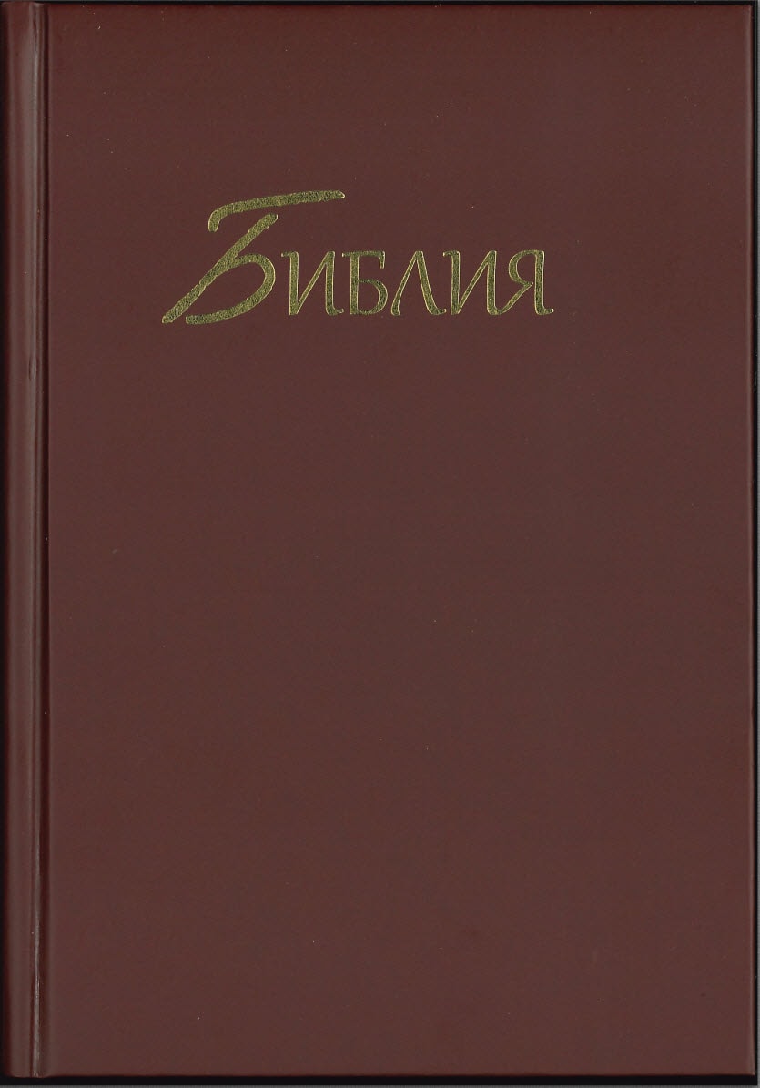 Bibel GBV HC Braun 14x21