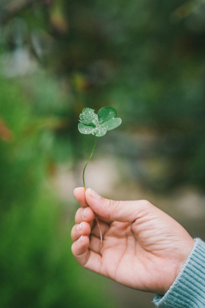 Ein Hand hält ein vierblättriges Kleeblatt mit Wassertropfen, Symbol für Glück und Hoffnung, auf einem grünen, naturbelassenen Hintergrund, ideal für spirituelle und ökologische Inspirationen.