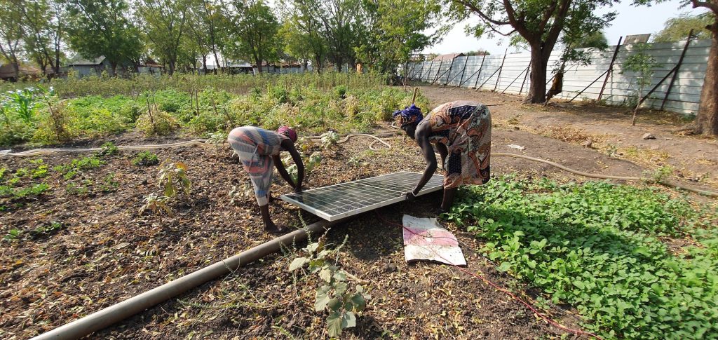 Solarenergie im Garten: Zwei Frauen installieren Solarmodule zur nachhaltigen Stromversorgung, umweltfreundliche Energie für Selbstversorgung und ökologische Projekte.