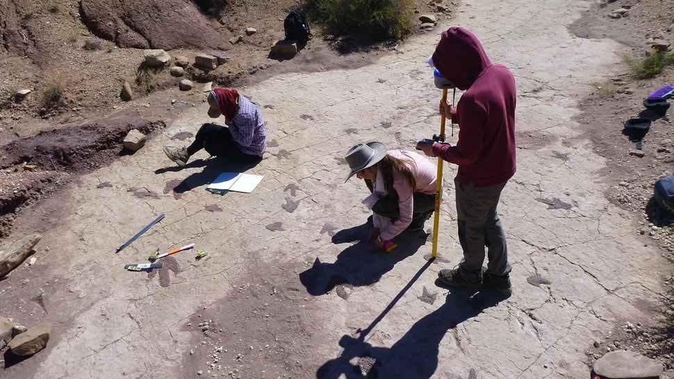 1. Archäologische Ausgrabung mit Forschern in der Wüste, Wissenschaft, Entdeckung, Archäologie, Feldforschung.